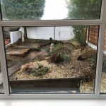 Double Glazing Repair in Oulton